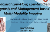 Paradoxical Low-Flow, Low-Gradient AS: Diagnosis and Management based on Multi-Modality Imaging