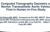 Computed Tomography Geometry of Navitor Transcatheter Aortic Valves: First in Human In-Vivo Study