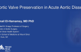 Aortic Valve Preservation -– Acute Aortic Dissection