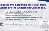 Imaging Pre-Screening in TMVR Trials: Where are the Anatomical Challenges?