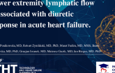 Lower Extremity Lymphatic Flow Is Associated With Diuretic Response and Weight Change (Decongestion) in Acute Heart Failure