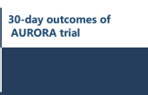 TAVR (VitaFlow) in Patients with Severe Aortic Regurgitation Using a Novel Anatomical Classification and Dual Anchoring Theory: 30-Day Results from the AURORA Trial
