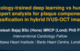 TCT 613: Comparison of Histology-Trained Deep Learning Approach With Human Expert Analysts for Automated Plaque Component Classification in Hybrid Intravascular Ultrasound-Optical Coherence Tomography Images