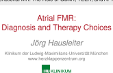 Atrial FMR; Diagnosis and Therapy Choices (Including AF ablation)