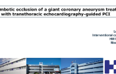 TCT 1029: Thrombotic occlusion of a giant coronary aneurysm treated with transthoracic echocardiography-guided percutaneous intervention 