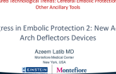 Progress in Embolic Protection 2: New Aortic Arch Deflectors Devices
