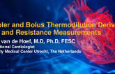 Doppler and Thermodilution Derived Flow and Resistance Measurements