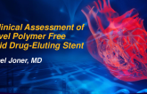 TCT 422: Preclinical Assessment of a Novel Polymer-Free Hybrid Drug-Eluting Stent
