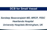 Case 2: DCB for Small Vessel