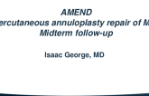 The AMEND Transeptal Mitral Annuloplasty Repair: One-Year Outcomes of the FIH Cohort