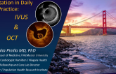 The Basics of Image Interpretation in Daily Clinical Practice: IVUS and OCT