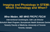 Imaging and Physiology in STEMI: Which Technology and When