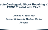 Acute cardiogenic shock requiring VA ECMO treated with TAVR
