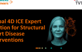 Introduction to the Global 4D ICE Imaging Consortium