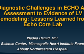 From Diagnostic Challenges in Echocardiographic Assessment of AR to Evidence of LV Remodeling: Lessons from the Echo Core Lab