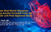 One-Year Real-World Outcomes with the Amulet LAAO: The EMERGE LAA Post-Approval Study