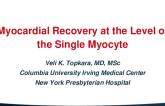 Myocardial Recovery at the Level of the Single Myocyte