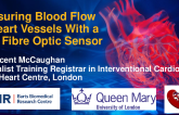 Measuring Blood Flow in Heart Vessels With a New Fibre Optic Sensor
