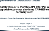3-Month Versus 12-Month Dual Antiplatelet Therapy After Implantation of the Biodegradable Polymer Firehawk Sirolimus-Eluting Coronary Stent: Primary Outcomes of the TARGET DAPT Trial