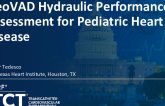 TCT 48: NeoVAD Hydraulic Performance Assessment for Pediatric Heart Disease