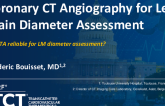 TCT 572: Coronary CT Angiography for Left Main Diameter Assessment
