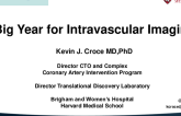 A Big Year for Intravascular Imaging!