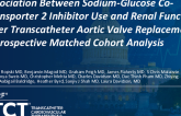 TCT 823: Association Between Sodium-Glucose Co-Transporter 2 Inhibitor Use and Renal Function After Transcatheter Aortic Valve Replacement: A Retrospective Matched Cohort Analysis