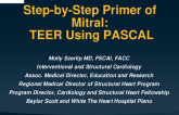 Step-by-Step Primer of Mitral-TEER Using PASCAL (Case-Based)