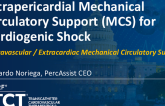 Intrapericardial Mechanical Circulatory Support (MCS) System for Cardiogenic Shock (Percassist)