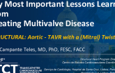 My Most Important Lessons Learned from Treating Multivalve Disease