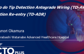 How to do Tip Detection Antegrade Wiring (TD-AW) and Dissection Re-entry (TD-ADR)