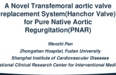 A Novel Transfemoral Aortic Valve Replacement System (Hanchor Valve) for Pure Native Aortic Regurgitation (PNAR)