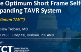 The Optimum Short Frame Self-Expanding TAVR System (Optimum TAV)