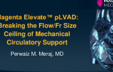 Magenta Elevate: Breaking the Flow/Fr Size Ceiling of Mechanical Circulatory Support