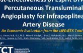 Cost Effectiveness of Drug-Eluting Resorbable Scaffold Versus Angioplasty for Infrapopliteal Artery Disease From the LIFE-BTK Trial