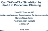 Can TAV-in-TAV Simulations be Useful in Procedural Planning?