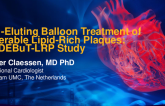 Drug-Eluting Balloon Treatment of Vulnerable Lipid-Rich Plaques: The DEBuT-LRP Study