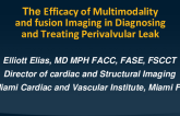 The Efficacy of Multimodality and Fusion Imaging in Diagnosing and Treating Perivalvular Leak