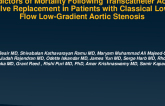 Predictors of Mortality Following Transcatheter Aortic Valve Replacement in Patients With Classical Low-Flow Low-Gradient Severe Aortic Stenosis