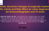 Intrinsic Structural Changes of Surgically Implanted Aortic Valves and Their Effect on Valve Degeneration - An Echocardiography and Ct Study