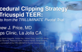 Procedural Clipping Strategy for Tricuspid TEER: Results From the TRILUMINATE Pivotal Trial