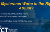 TCT 1204: A Mysterious Worm in the Right Atrium?