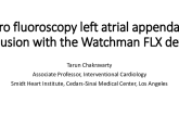 TCT 547: Zero-Fluoroscopy Left Atrial Appendage Occlusion With the Watchman FLX Device
