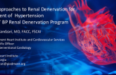 TARGET Clinical Trial Program (Alcohol-Mediated Renal Denervation)