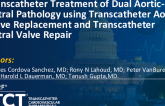 TCT 339: Transcatheter Treatment of Dual Aortic-Mitral Pathology Using Transcatheter Aortic Valve Replacement and Transcatheter Mitral Valve Repair