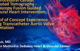 TCT 582: Intraprocedural Cardiac Computed Tomography /Fluoroscopy Fusion Guided Structural Heart Intervention: A Proof of Concept Experience During Transcatheter Aortic Valve Implantation