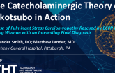 The Catecholaminergic Theory of Takotsubo in Action: A Case of Fulminant Stress Cardiomyopathy Rescued by ECPR in a Young Woman With Pheochromocytoma