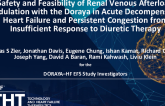 Safety and Feasibility of Renal Venous Afterload Modulation With the Doraya in Acute Decompensated Heart Failure and Persistent Congestion From Insufficient Response to Diuretic Therapy
