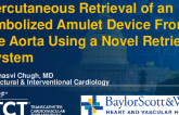 TCT 1516: Percutaneous Retrieval of an Embolized Amulet Device From the Aorta Using a Novel Retrieval System