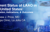 Current Status of LAAO in the United States: Device Utilization, Indications, and Clinical Outcomes